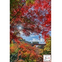 紅葉とケーブルカーの写真